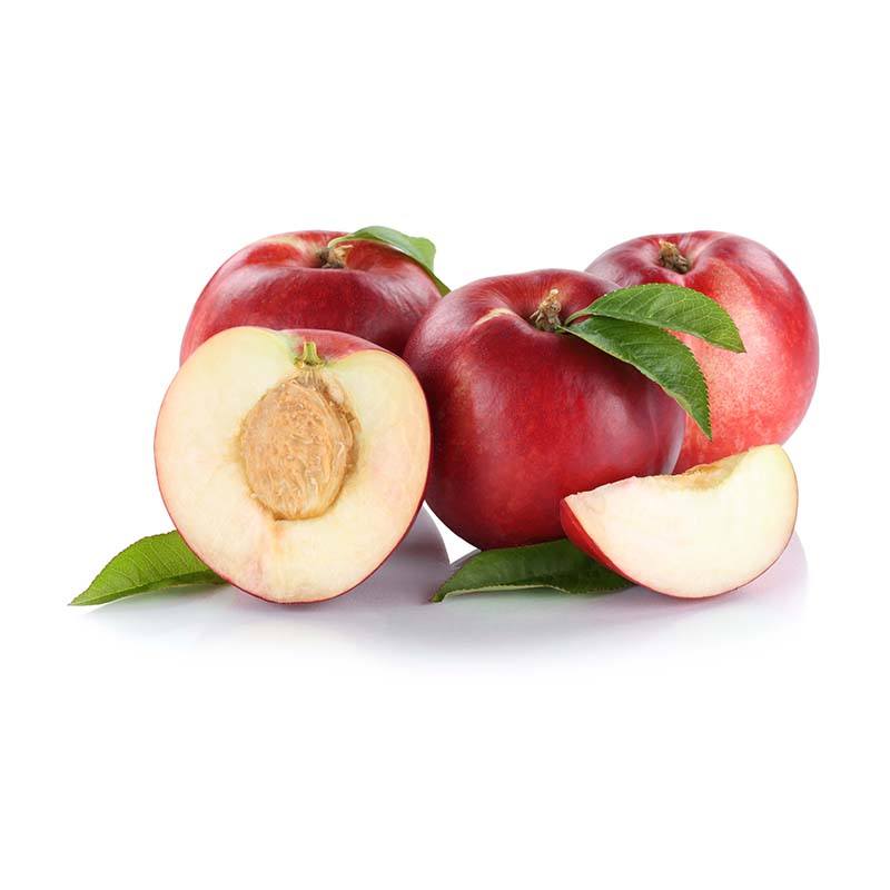 NECTARINE BLANCHE